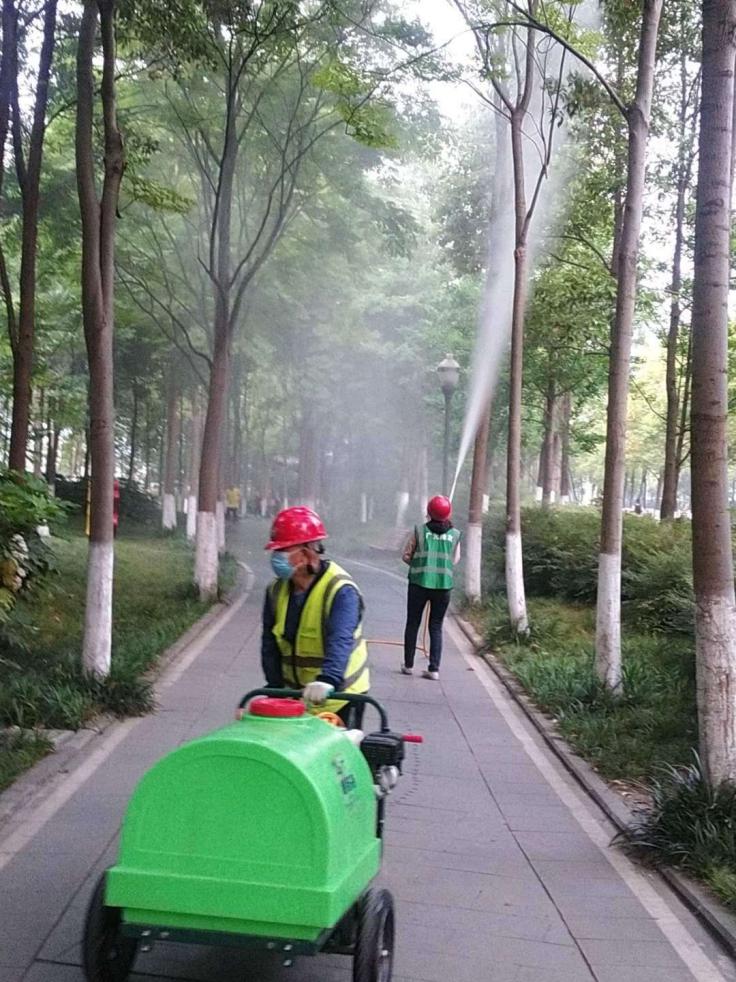 202005151604474228.Jpeg
